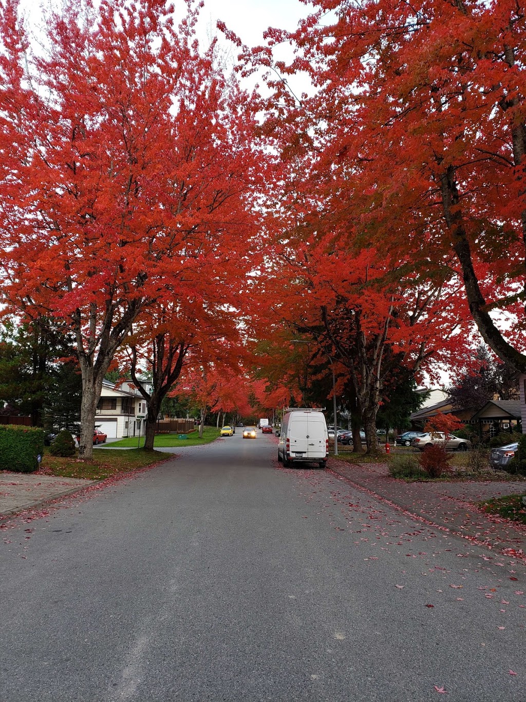 Meditation Guru | 8458 144 St, Surrey, BC V3W 5T7, Canada | Phone: (604) 614-9078
