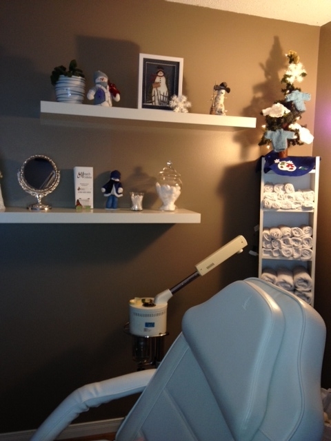 Monarch Esthetics | 358 Bricker St, Port Elgin, ON N0H 2C1, Canada | Phone: (519) 832-1414