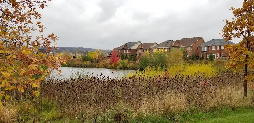 Escarpment View Public School | 351 Scott Blvd, Milton, ON L9T 0T1, Canada | Phone: (905) 878-6176