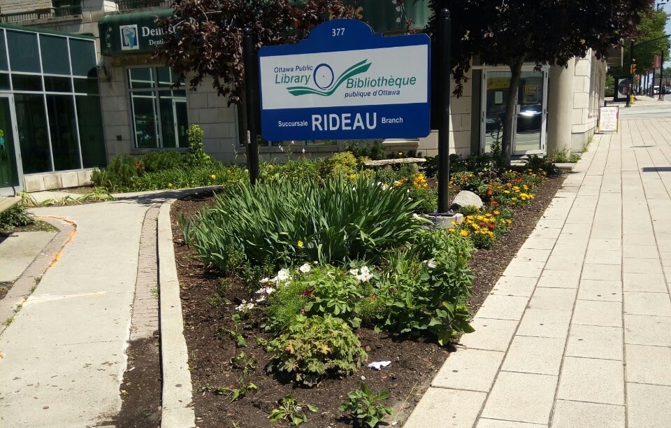 Ottawa Public Library - Rideau | 377 Rideau St, Ottawa, ON K1N 5Y6, Canada | Phone: (613) 580-2940
