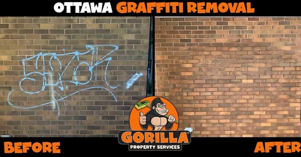 Gorilla Property Services | 40 Forest Creek Dr, Stittsville, ON K2S 1M2, Canada | Phone: (343) 430-0131