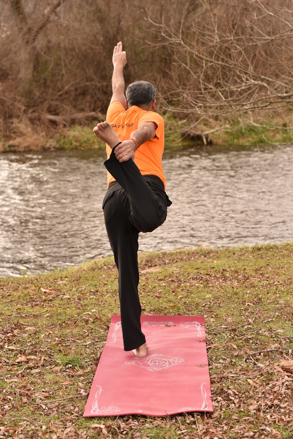 Indian Yoga & Meditation Centre | 5 Brisdale Dr #209, Brampton, ON L7A 0S9, Canada | Phone: (905) 866-2485