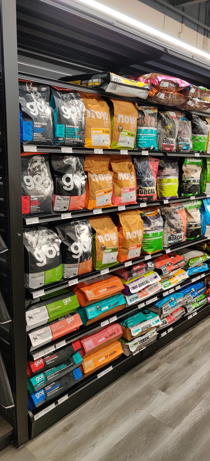 Global Pet Foods | 7700 Hurontario St Unit 509, Brampton, ON L6Y 4M3, Canada | Phone: (905) 456-6660