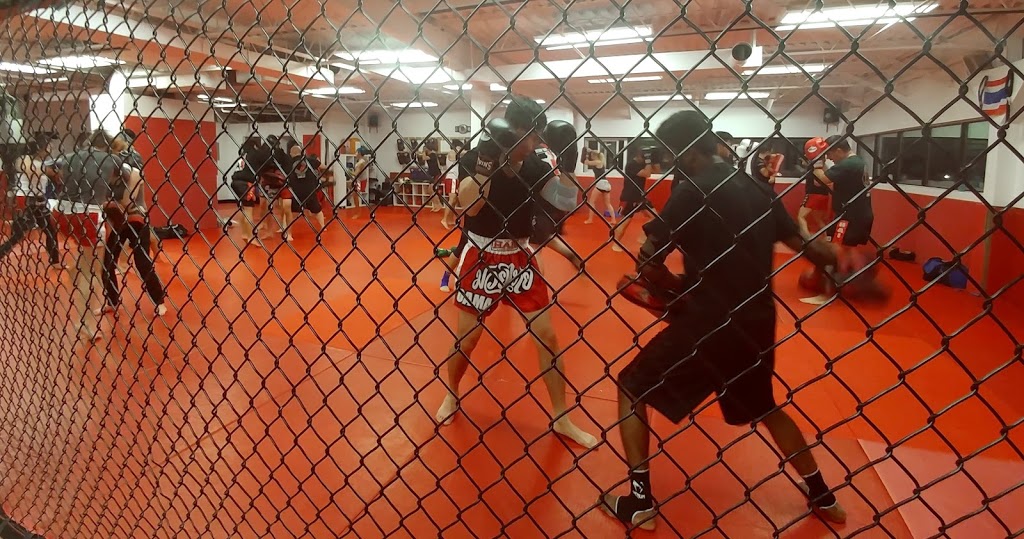 Kanata Academy of Martial Arts | 444 Hazeldean Rd, Kanata, ON K1L 1V2, Canada | Phone: (613) 831-7900