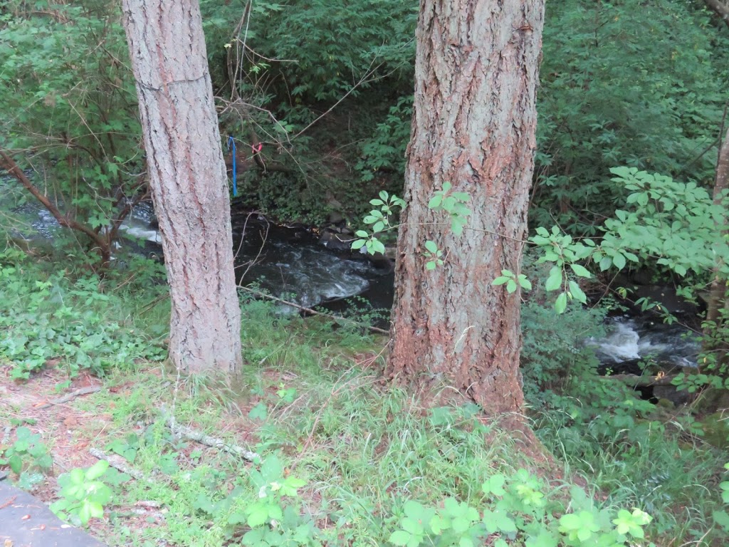 Colquitz River Trail | Unnamed Road, Victoria, BC V8Z 6W2, Canada