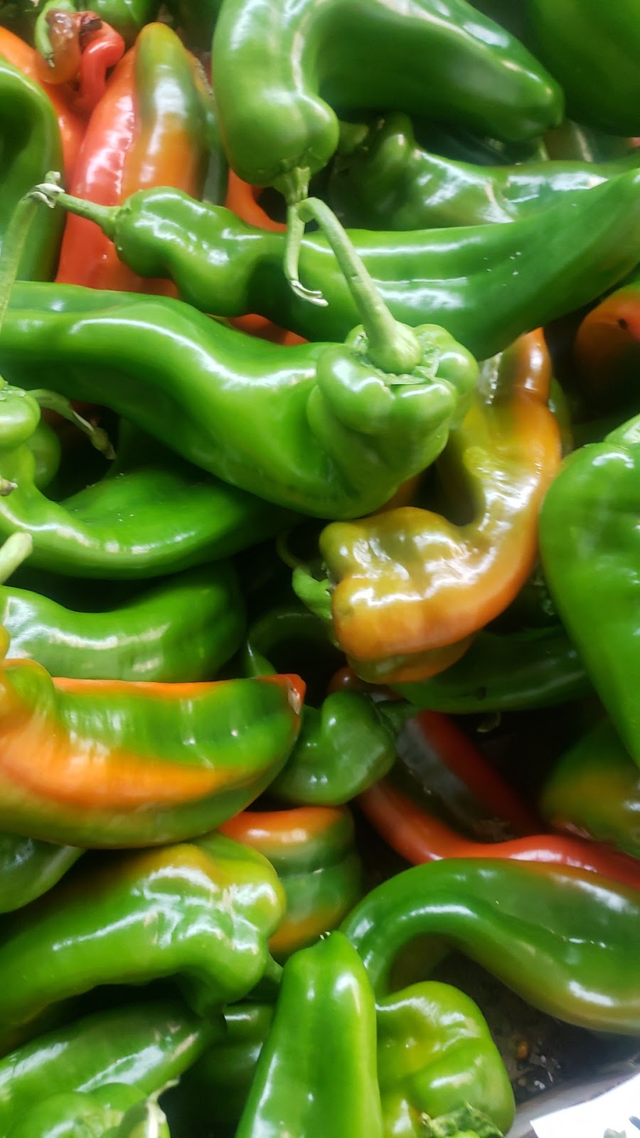 Veggie Palace EL-AKDY | 9026 132 Ave NW, Edmonton, AB T5E 0Y2, Canada | Phone: (780) 700-2622