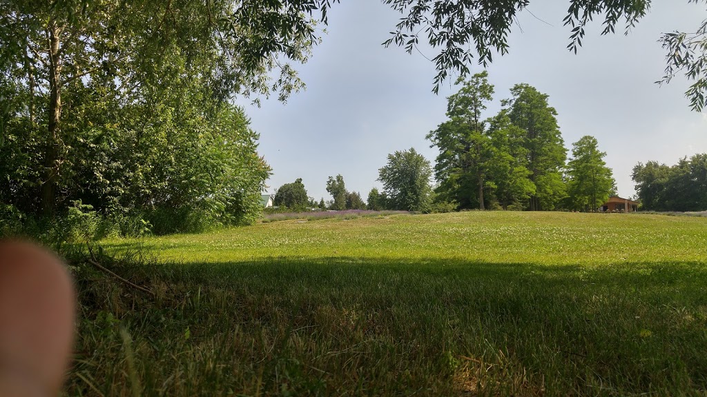 Christel Lake Lavender | 1381 Scugog Line 12, Greenbank, ON L0C 1B0, Canada | Phone: (905) 985-9060