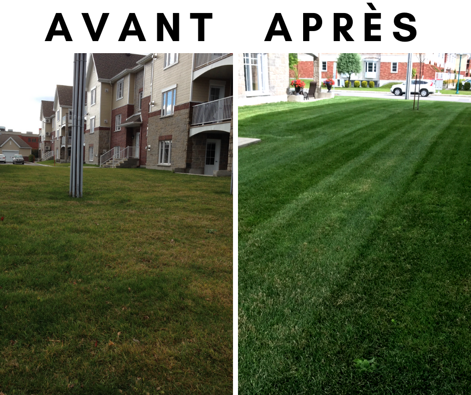 Entretien de pelouse La Coupe Royale | 1598 Rue Rodrigue, Terrebonne, QC J7M 0K2, Canada | Phone: (514) 476-5001