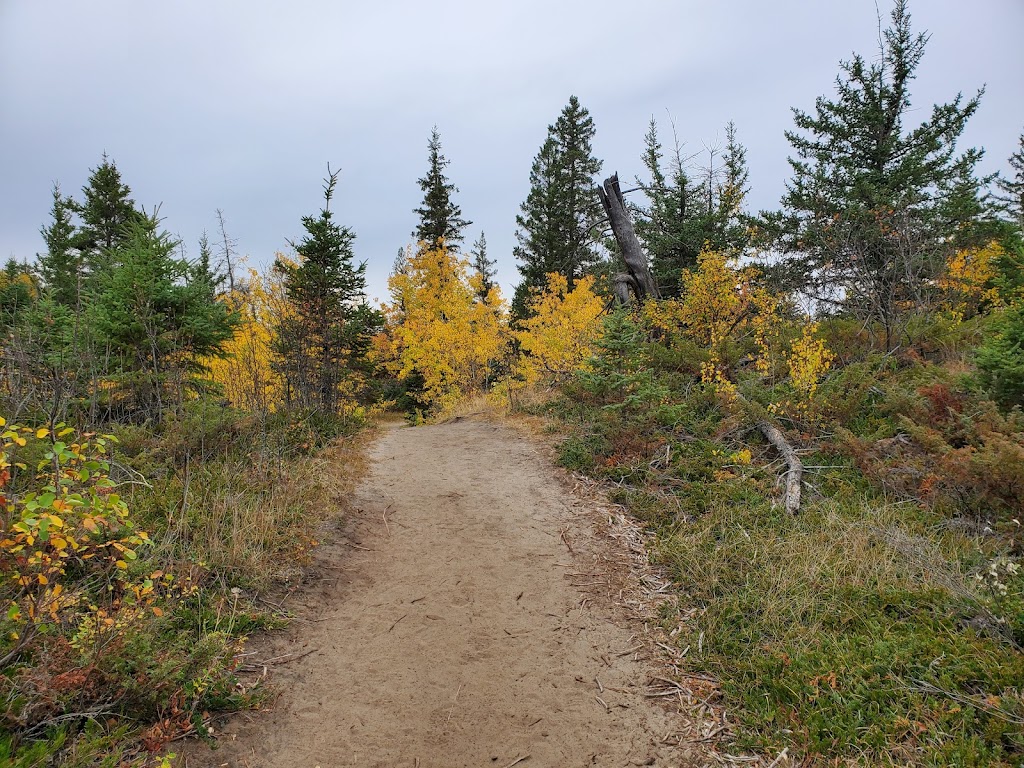 Spruce Woods Provincial Park | Carberry, MB R0K 0H0, Canada | Phone: (204) 827-8850