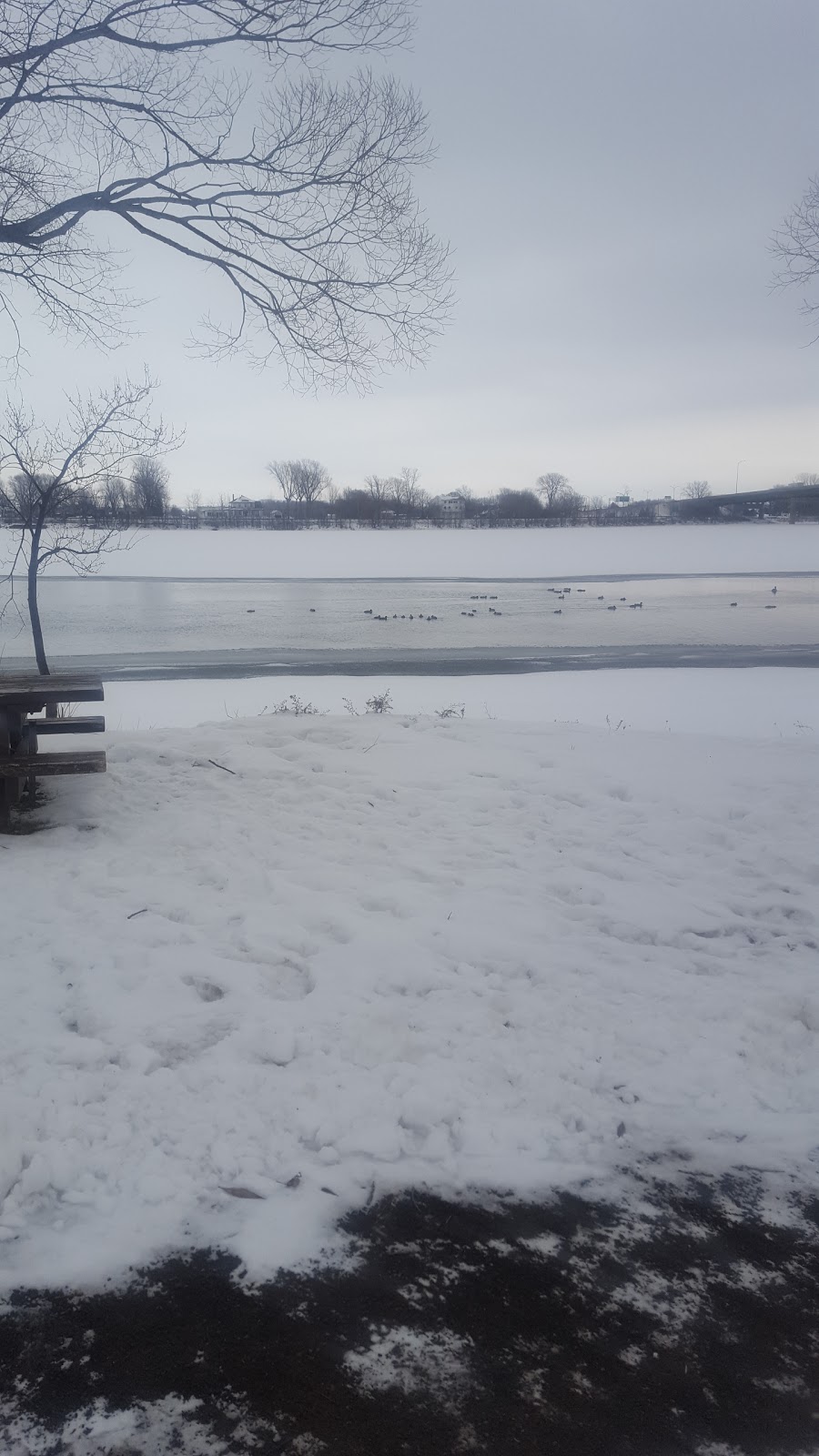 Parc du Domaine-de-Beauchamp | Rue Champlain, Saint-Jean-sur-Richelieu, QC J3A 1N2, Canada