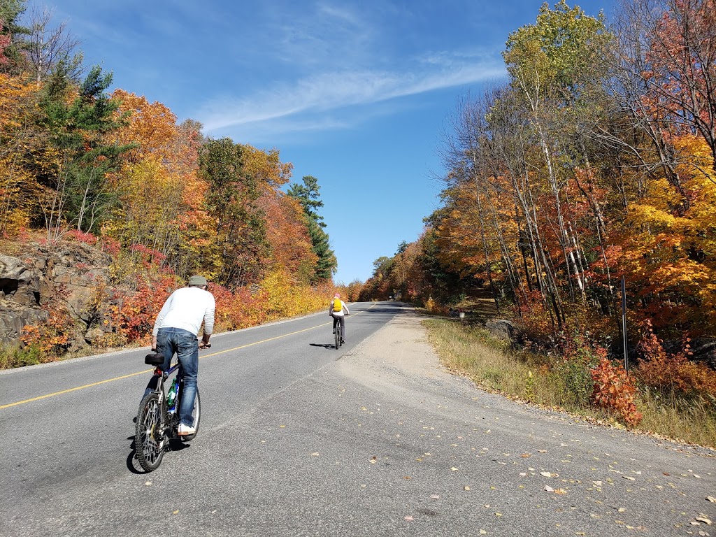 Fairy Avenue Getaway | 25 Fairy Ave, Huntsville, ON P1H 1G7, Canada | Phone: (416) 467-7868