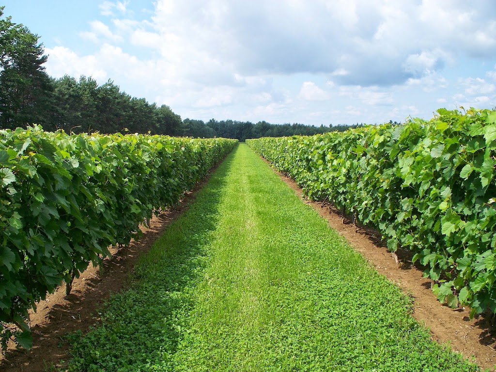 Vignoble Mondor | 137 Rang St Henri, Lanoraie, QC J0K 1E0, Canada | Phone: (450) 541-1774