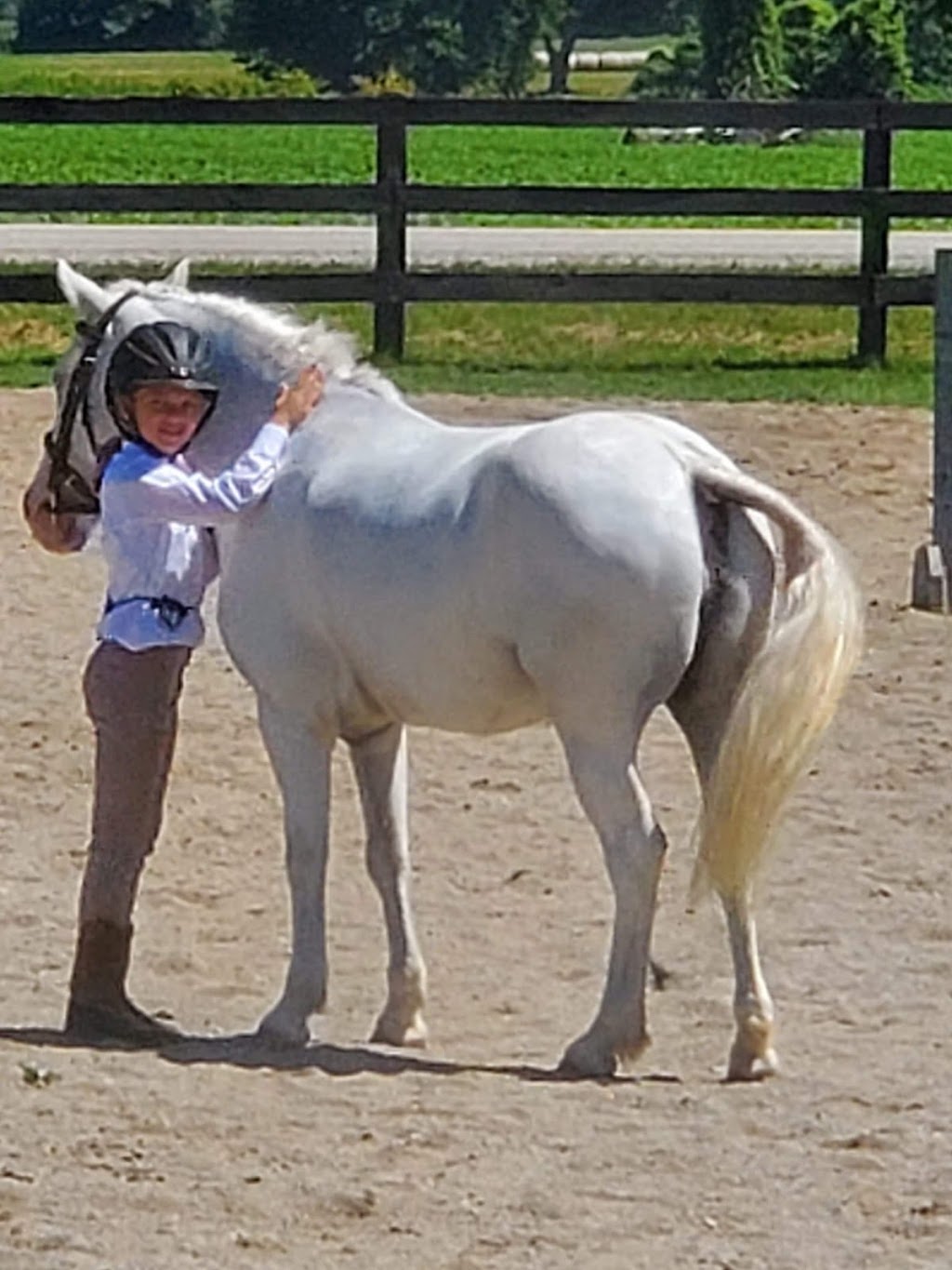JL Equestrian Centre | 1110 Huron Rd, Petersburg, ON N0B 2H0, Canada | Phone: (226) 808-3518
