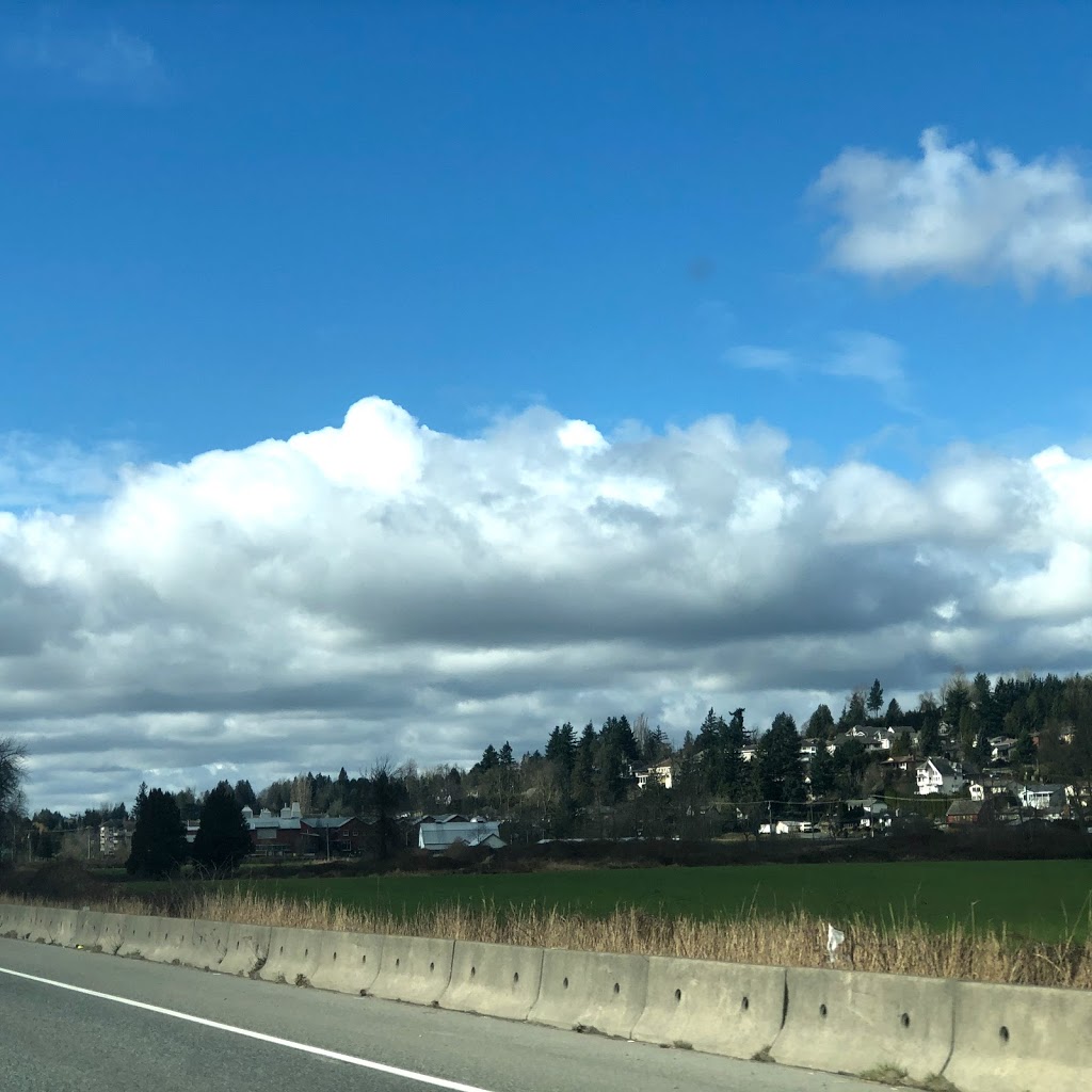 Gagan Farm Market | 35826 S Parallel Rd, Abbotsford, BC V3G 2T4, Canada | Phone: (604) 889-5356