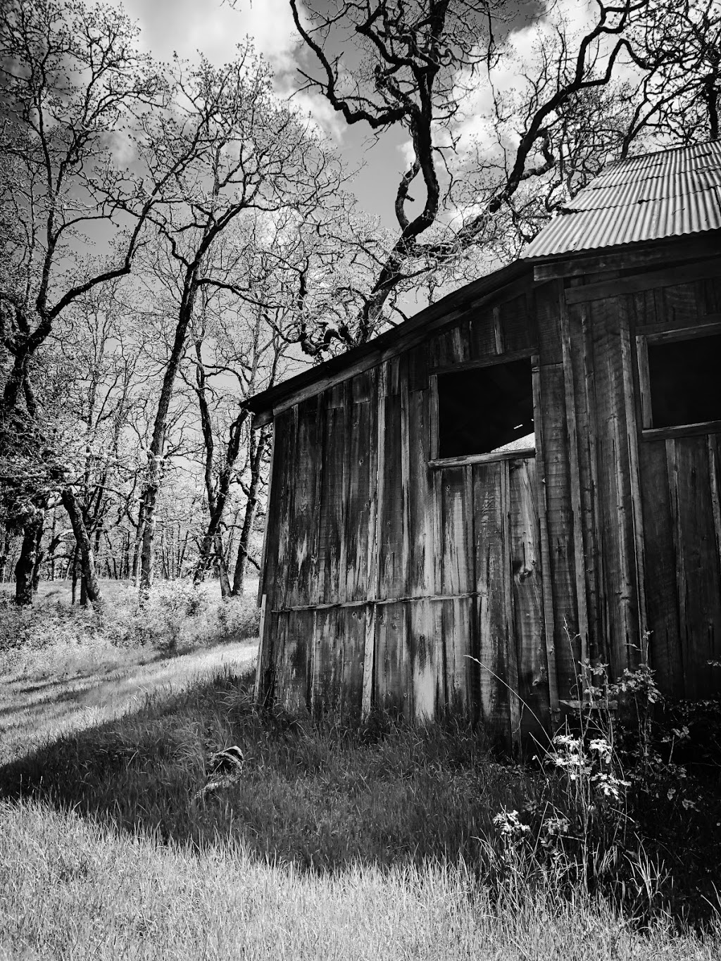 Cowichan Garry Oak Preserve | 1241 Maple Bay Rd, Duncan, BC V9L 5R9, Canada