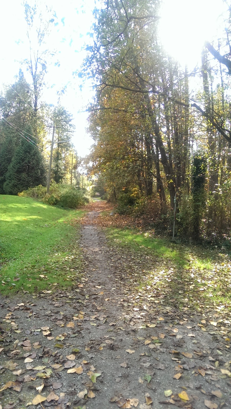 Charles Rummel Park | 3325 Piper Ave, Burnaby, BC V5A 2A8, Canada | Phone: (604) 294-7450