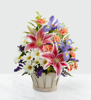 Laurie Clark Design | 9 Victoria St, Thamesville, ON N0P 2K0, Canada | Phone: (519) 692-5519