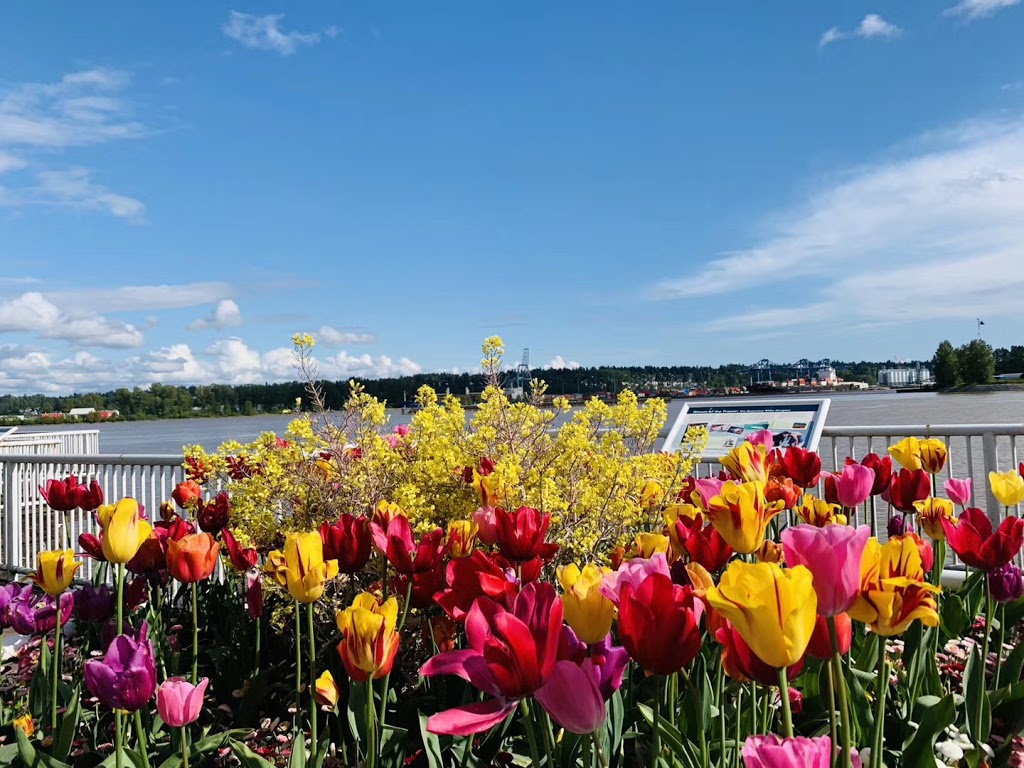 Waterfront Esplanade and Park | 1260 Quayside Dr, New Westminster, BC V3M 6E1, Canada | Phone: (604) 521-3711