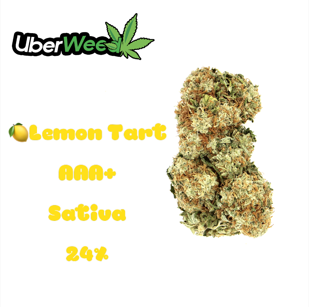 Uber Buds WeedDelivery | 183 Brimley Rd, Scarborough, ON M1M 3T1, Canada | Phone: (437) 928-5229