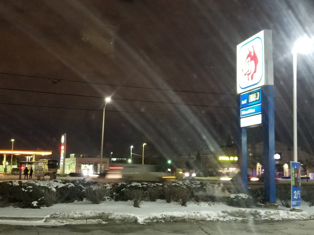 HUSKY | 6990 Hurontario St, Mississauga, ON L5W 1N5, Canada | Phone: (905) 565-9074