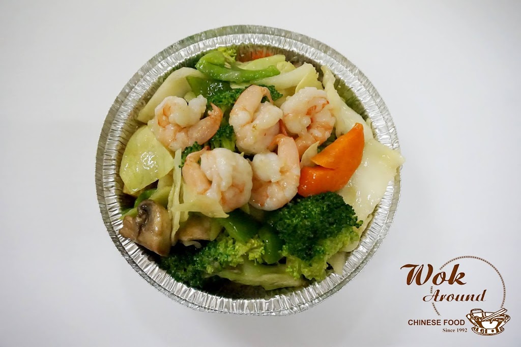 Wok Around Chinese Food | 25 Delawana Dr, Hamilton, ON L8E 1G4, Canada | Phone: (905) 573-0114