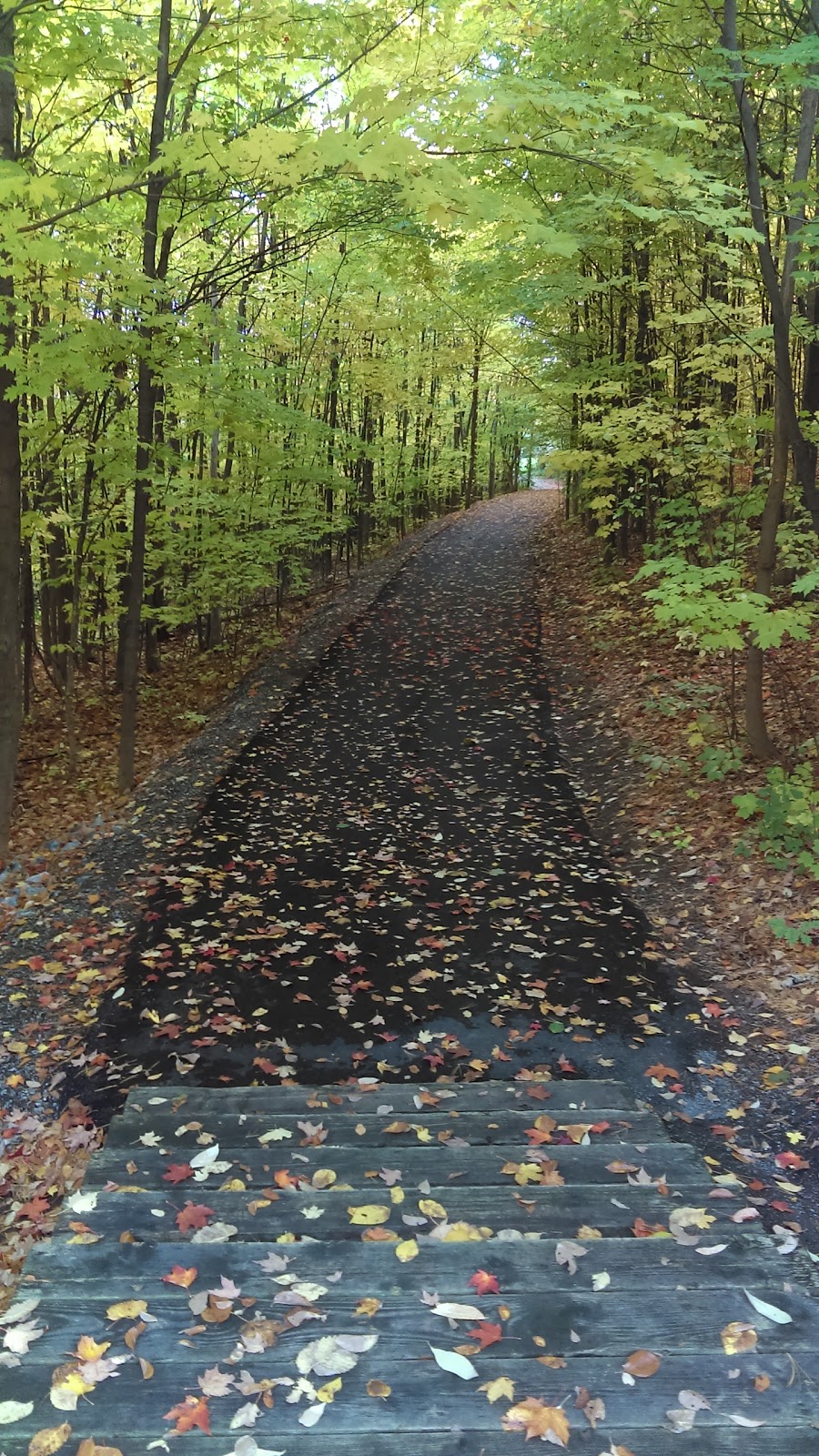 Brignoles Park | Rue de Brignoles, Gatineau, QC J8T 8H6, Canada | Phone: (866) 299-2002