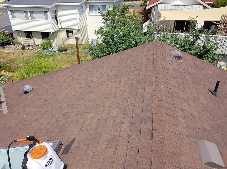 Vancouver Moss Removal | 105-1615 Frances St, Vancouver, BC V5L 1Z3, Canada | Phone: (604) 359-9468