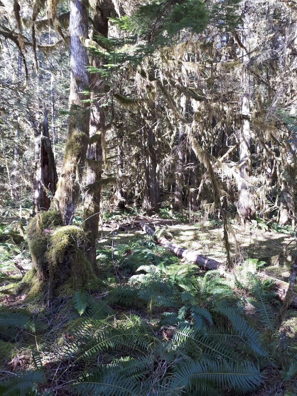 Marble Bay Park | Nighthawk Rd, Mesachie Lake, BC V0R 2N0, Canada | Phone: (250) 746-2620