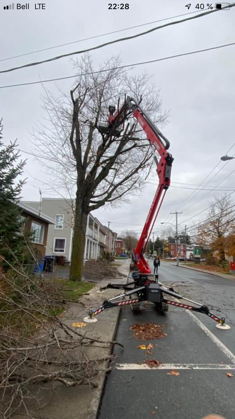 Beauregard Daniel | 9 Chemin Brandrick, Shefford, QC J2M 2A5, Canada | Phone: (450) 375-4155