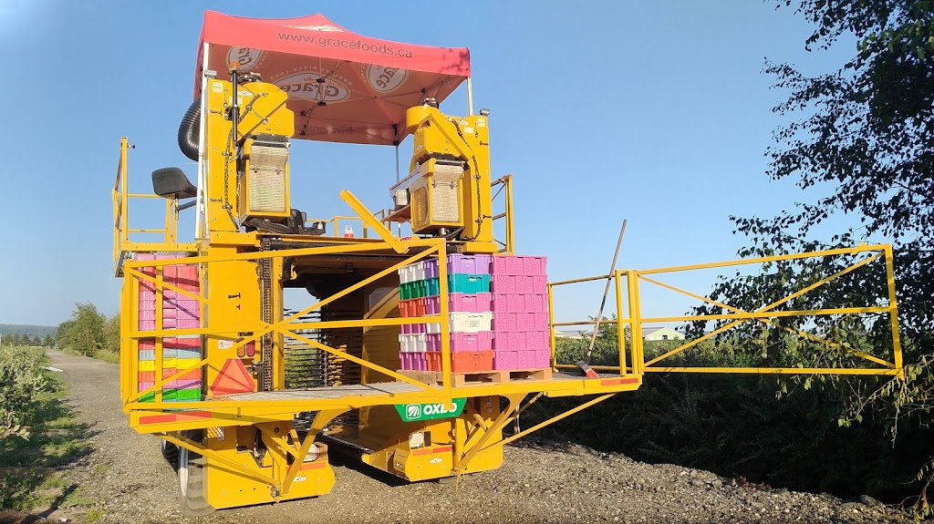 JP Farms | 5863 104 St, Delta, BC V4K 3N3, Canada | Phone: (778) 869-4545
