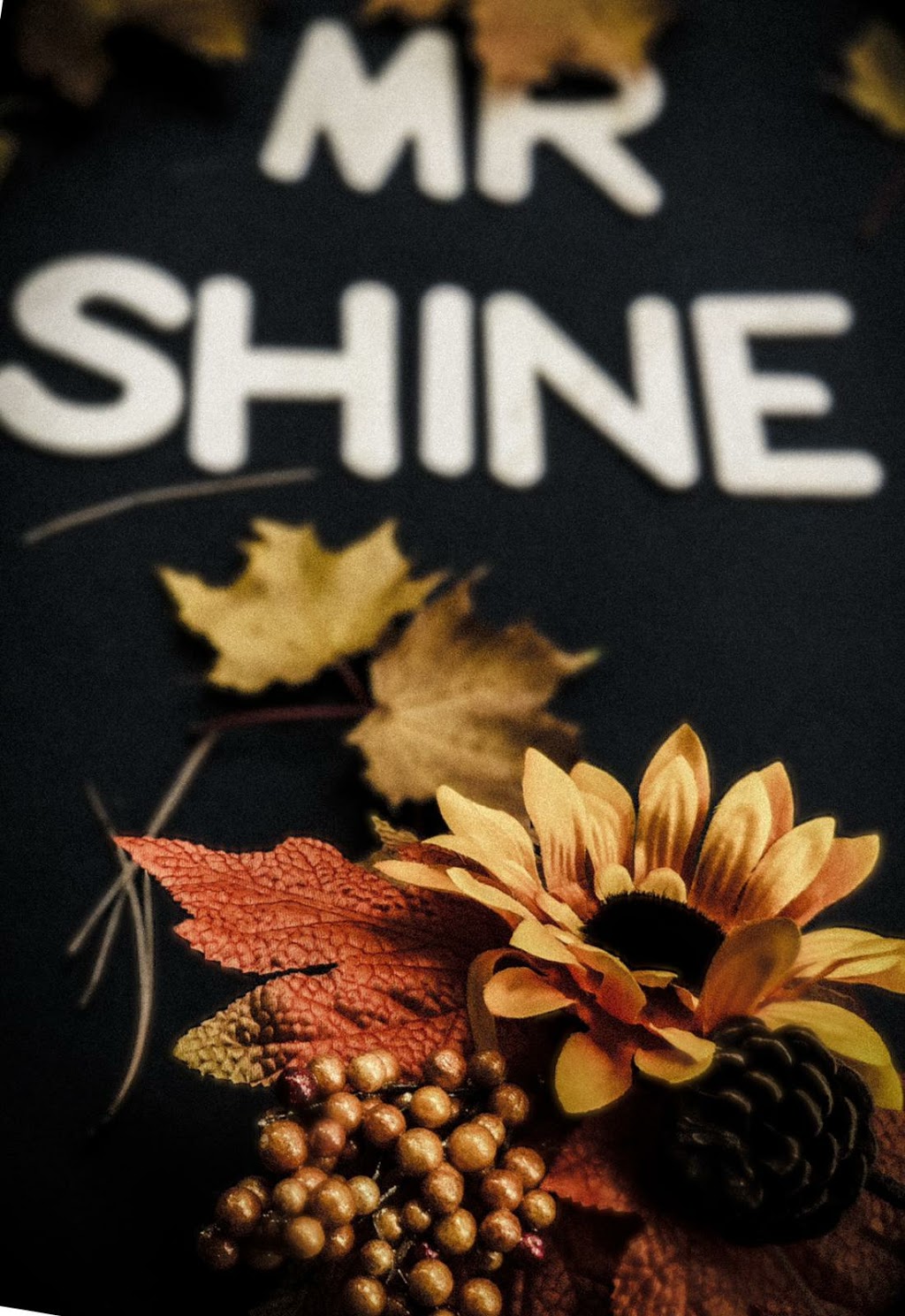 MR.SHINE HOME MAINTENANCE & DETAILING | Empire Dr, Bradford, ON L3Z 4H9, Canada | Phone: (888) 827-4463
