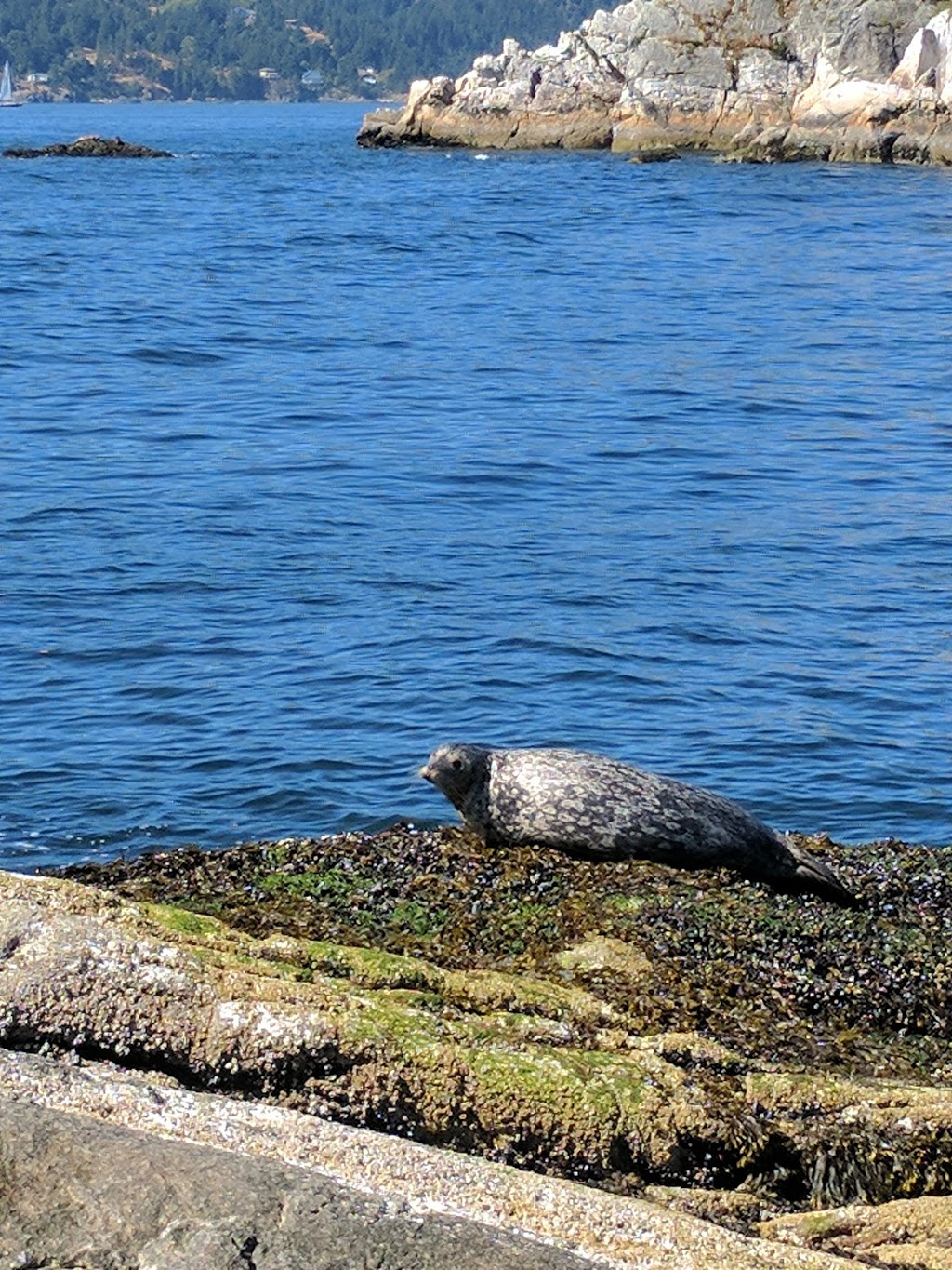 Whytecliff Park | West Vancouver | 7102 Marine Dr, West Vancouver, BC V7W 2T3, Canada | Phone: (604) 925-7275