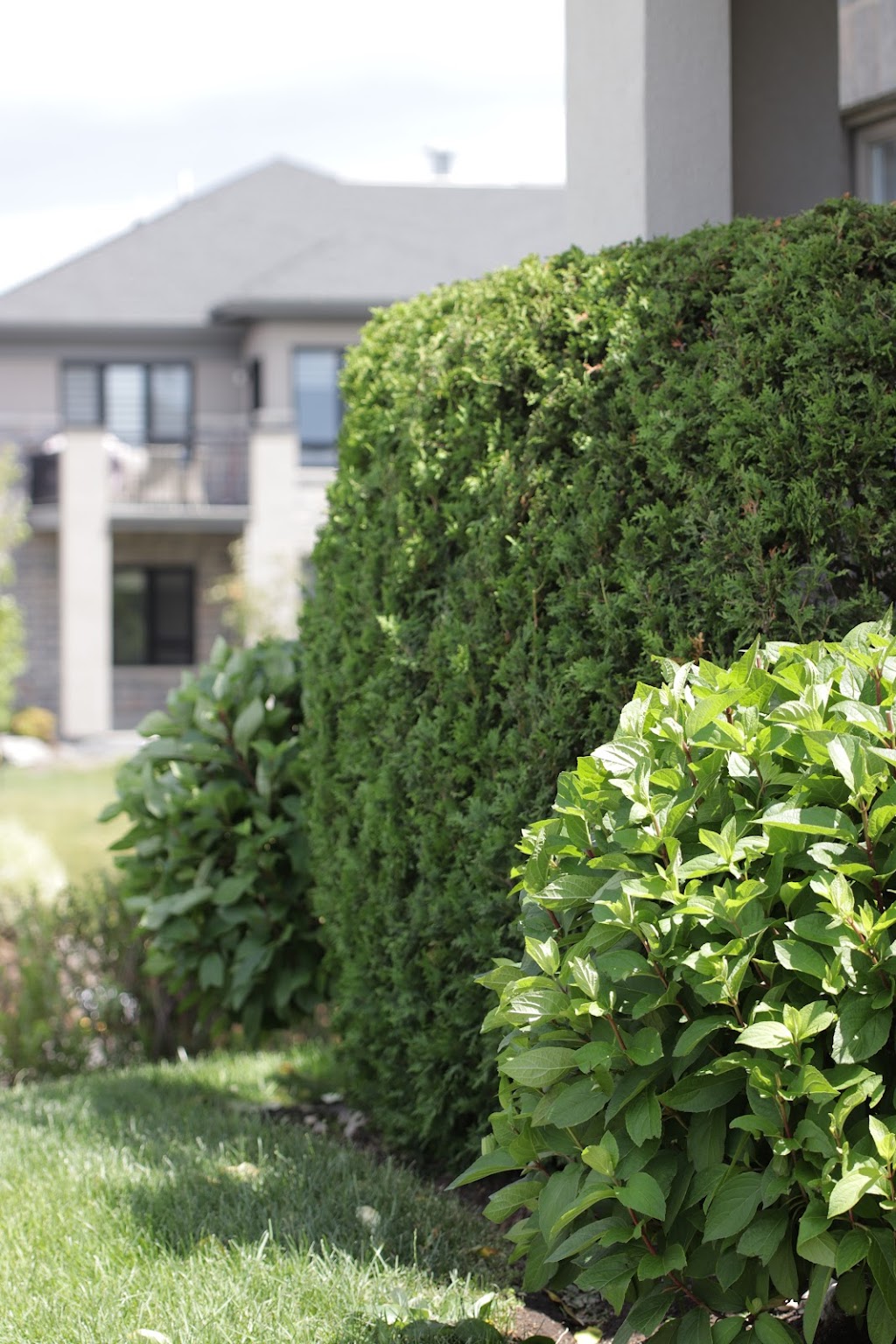 Amour Maisonnée | 115A 85e Av, Saint-Zotique, QC J0P 1Z0, Canada | Phone: (579) 790-0149