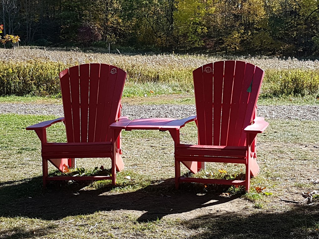 Princess Point | Dundurn B, Hamilton, ON L8S, Canada