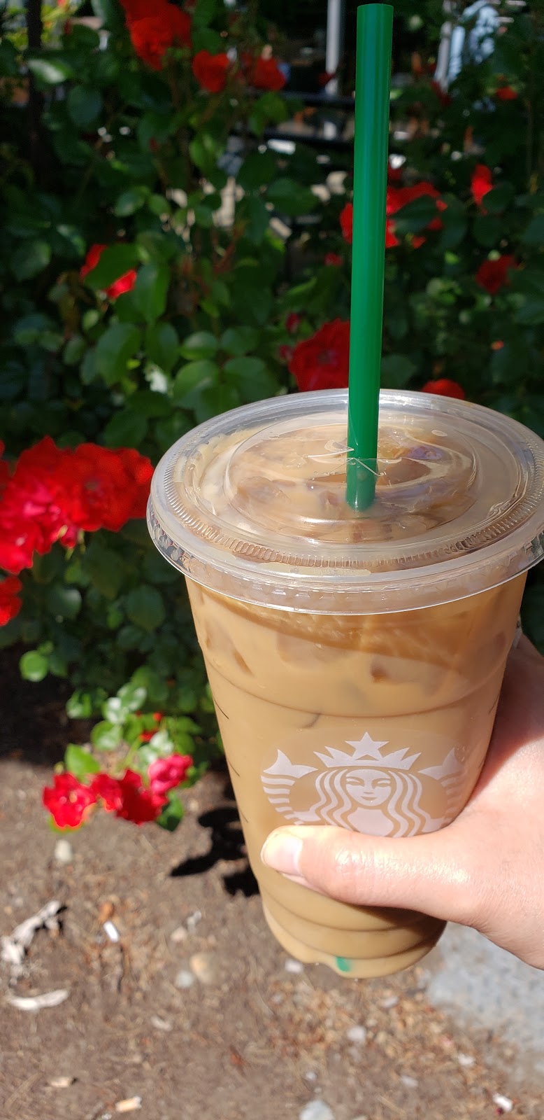 Starbucks | 470 Belleville St, Victoria, BC V8V 1W9, Canada | Phone: (778) 433-0424
