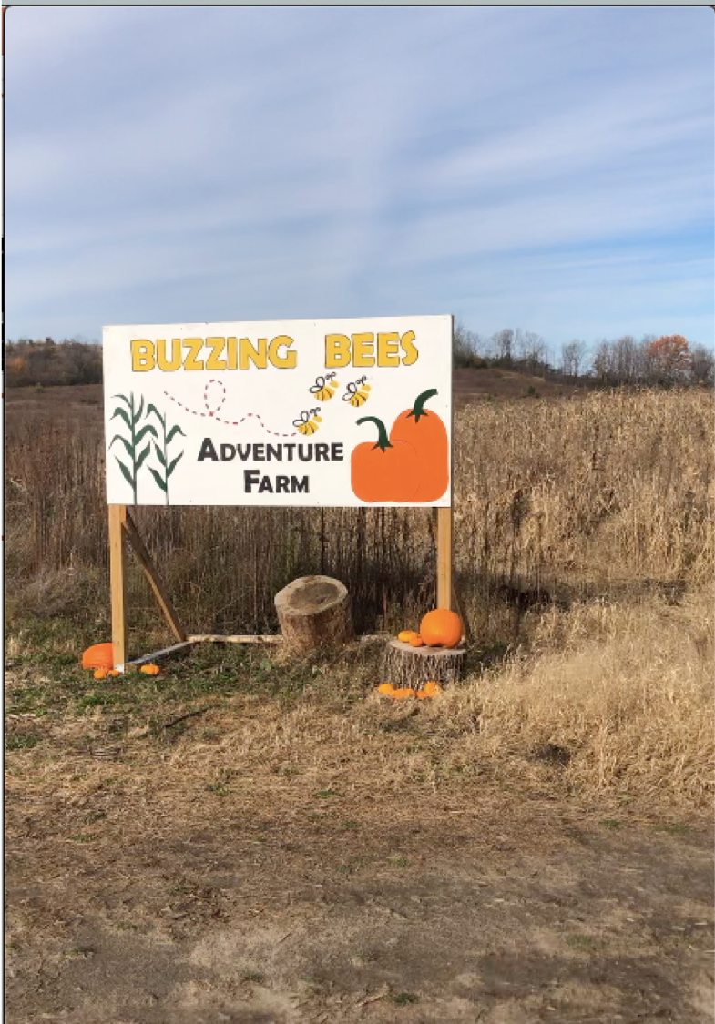 Buzzing Bees Adventure Farm | 1070 Concession Rd 5, Sunderland, ON L0C 1H0, Canada | Phone: (905) 409-4626