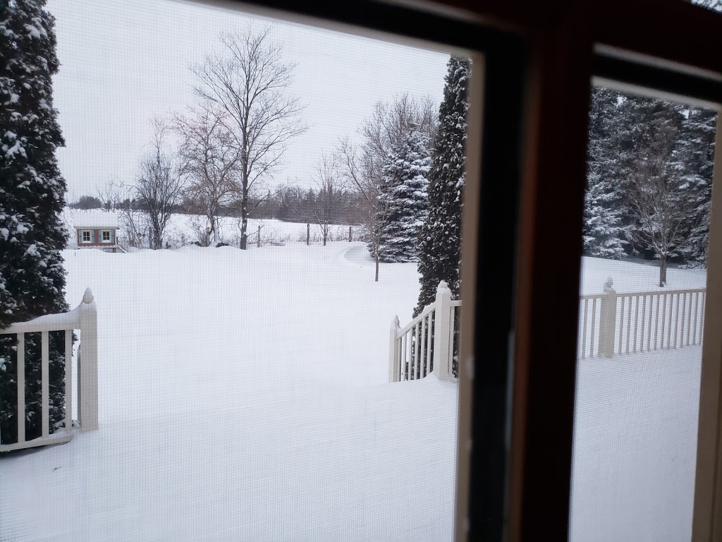 Anderson House Bed & Breakfast | 120 Columbus Rd W, Oshawa, ON L1H 0G6, Canada | Phone: (905) 655-5264