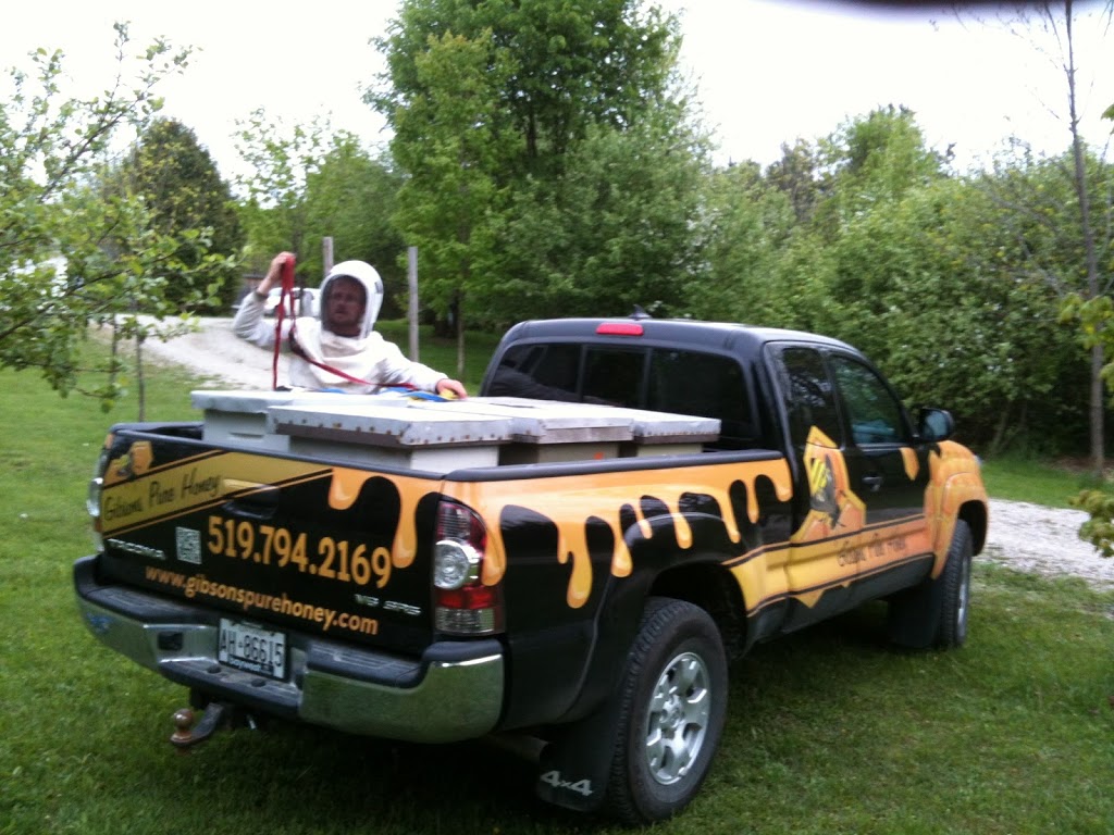 Gibsons Pure Honey | ON-6, Chatsworth, ON N0H 1G0, Canada | Phone: (519) 794-2169