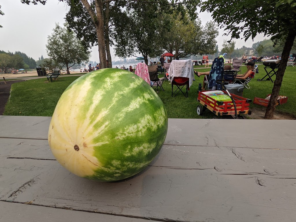 Mckenzie Lake Beach Club | 16199 McKenzie Lake Way SE, Calgary, AB T2Z 1L7, Canada | Phone: (403) 257-1657