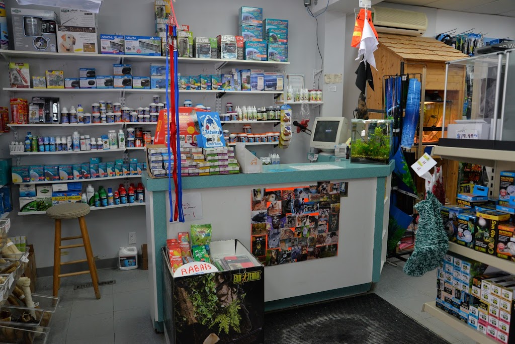 Animalerie Chez Yougo | 398 Rue LAnnonciation N, Rivière-Rouge, QC J0T 1T0, Canada | Phone: (819) 275-3099