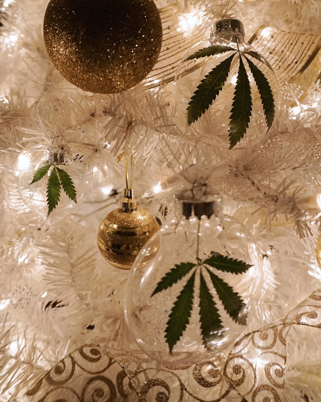 BUD + BLOOM | 10117 113 Ave NW, Edmonton, AB T5G 0M8, Canada | Phone: (780) 217-7687