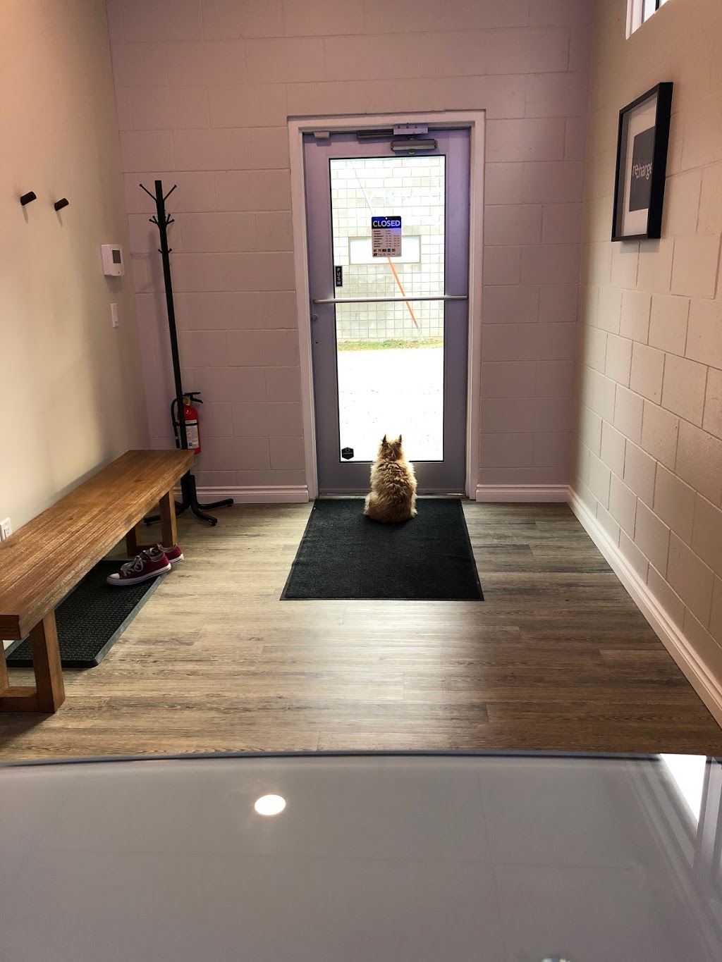 The Recovery Spa | 2936 Pandosy St Unit #3, Kelowna, BC V1Y 1V9, Canada | Phone: (250) 258-9496