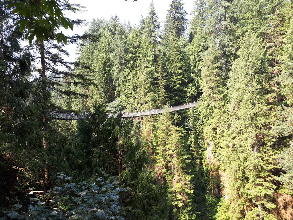 CliffWalk | Unnamed Road, North Vancouver, BC V7R 4J1, Canada