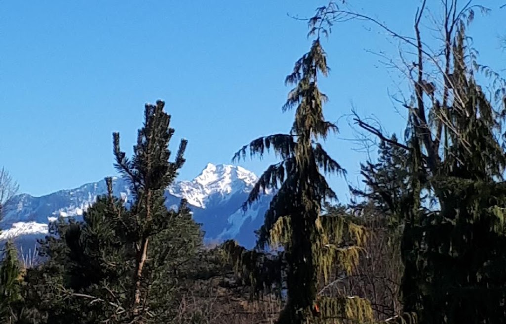 Clear Creek Campground | 2550 Columbia Valley Rd, Cultus Lake, BC V2R 5A3, Canada | Phone: (604) 986-9371