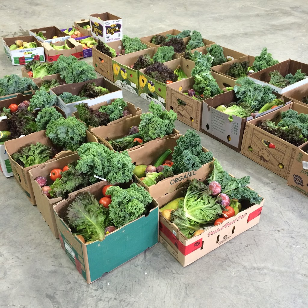 La boîte Bio-Logique | 1467 Montée Paiement, Cantley, QC J8V 3W3, Canada | Phone: (819) 506-6246