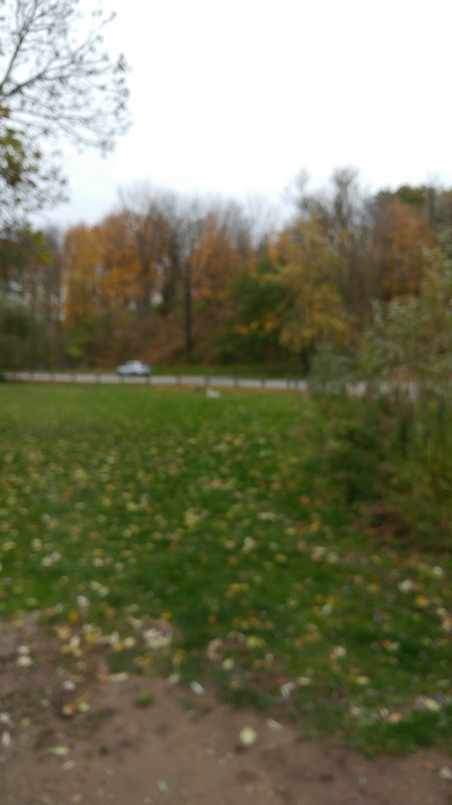 Princess Point Canoe Launch | Dundurn B, Hamilton, ON L8S 3W9, Canada | Phone: (905) 527-1158