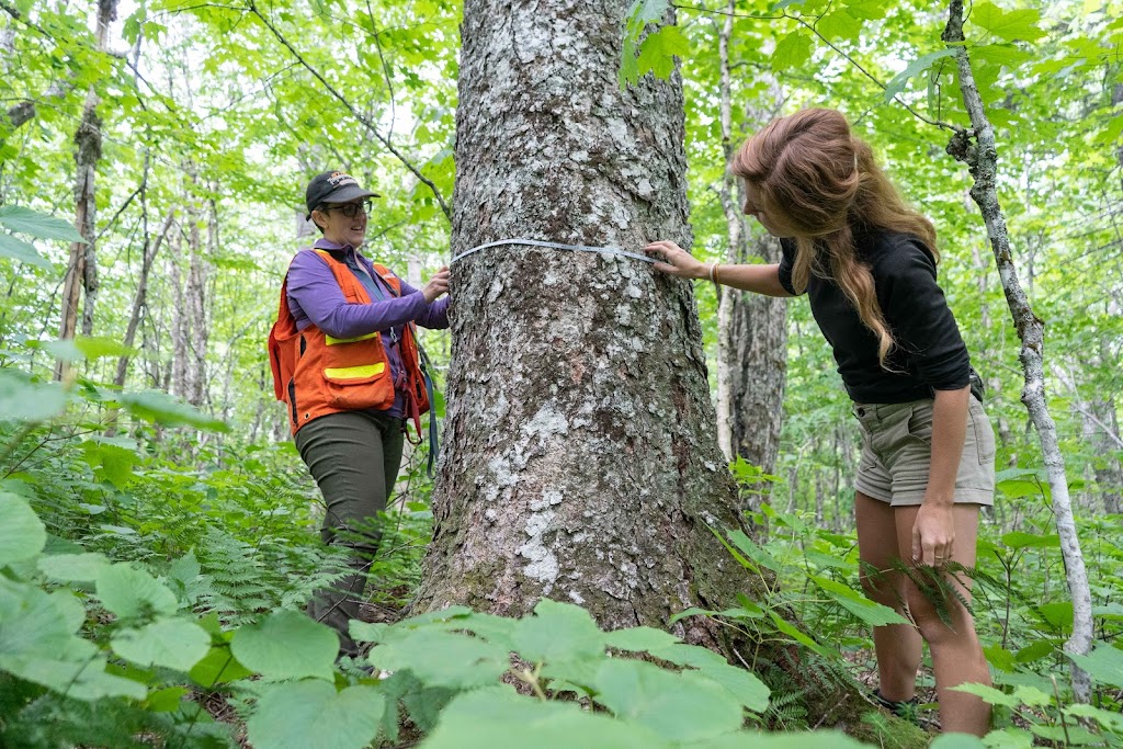 Community Forests International | 10 School Ln, Sackville, NB E4L 3J9, Canada | Phone: (506) 536-3738