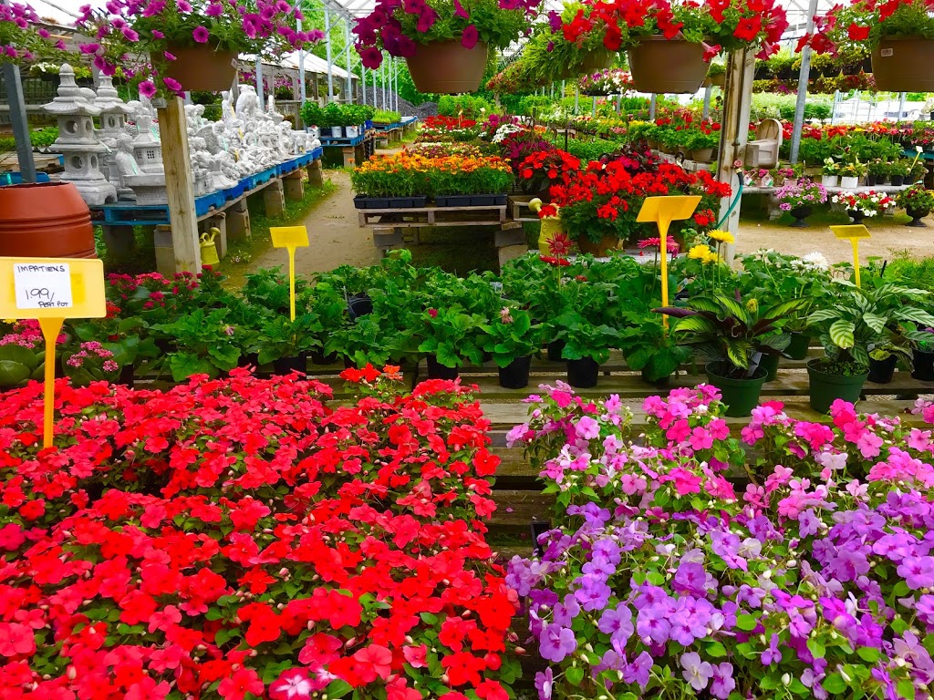 Peters Greenhouses Garden Centre | 9381 McLaughlin Rd N, Brampton, ON L6V 1A1, Canada | Phone: (905) 453-1364