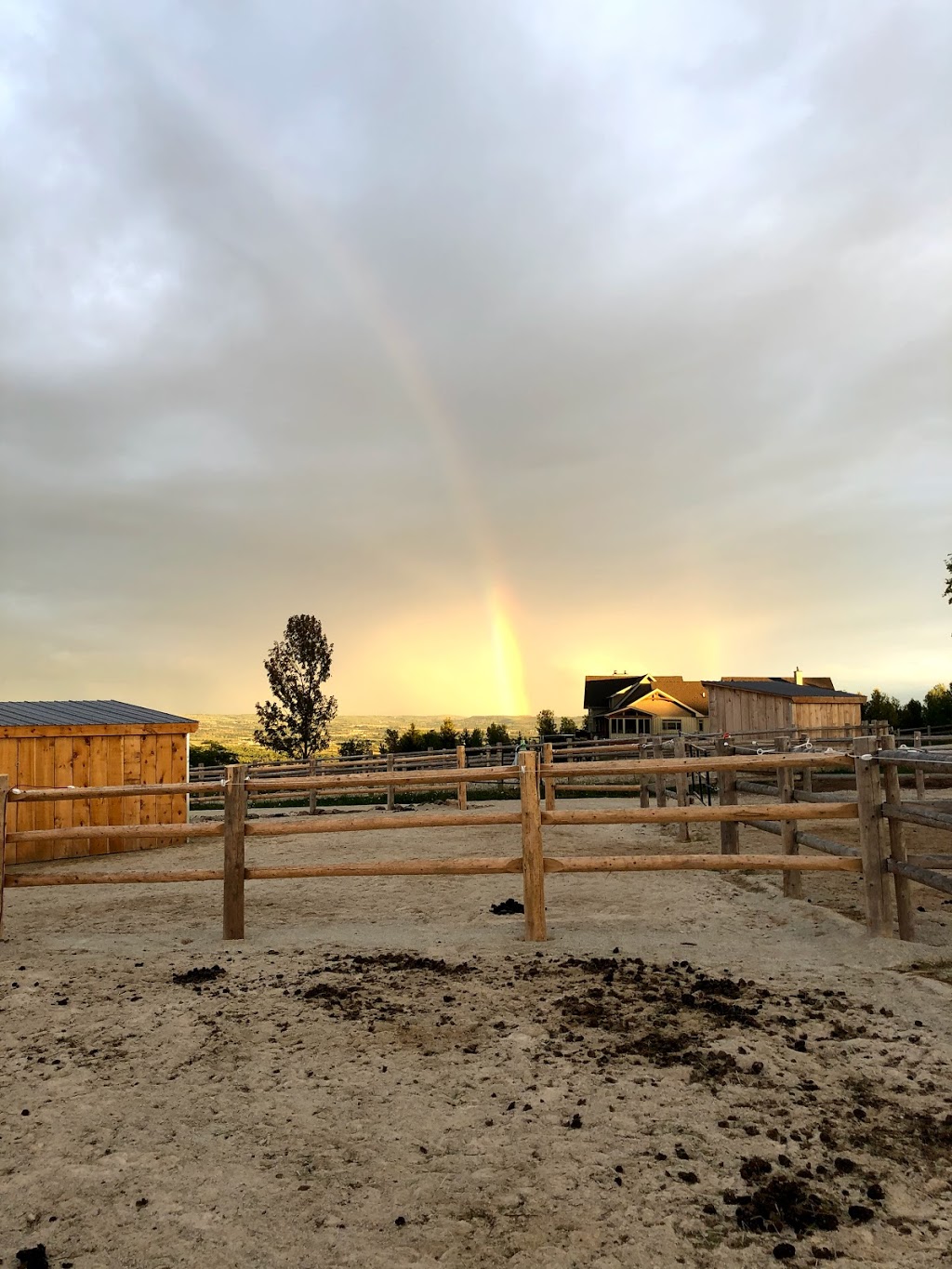 Harmony Ridge Equestrian Center | Grey Highlands, ON N0H 1J0, Canada | Phone: (705) 888-7669