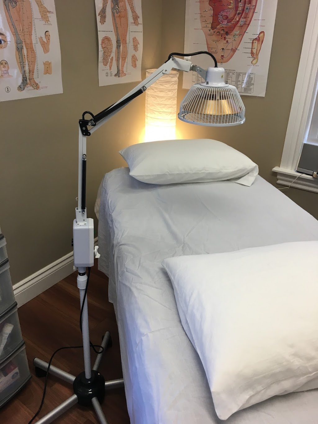 Sandra Mauro Registered Acupuncturist | 271 Sackville Dr, Lower Sackville, NS B2C 2R5, Canada | Phone: (902) 865-8500